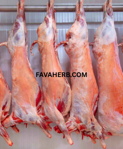 Bulk Whole Sheep Carcass (Mutton) — Wholesale Supply