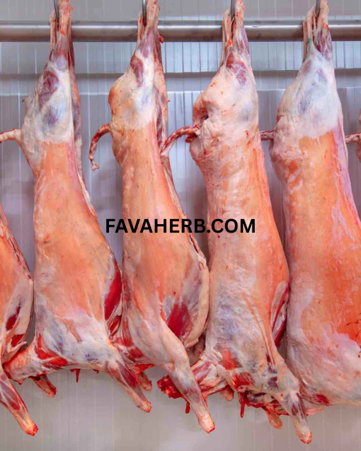 Bulk Whole Sheep Carcass (Mutton) — Wholesale Supply