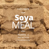 Fava Herb Soybean Meal – Premium Normal & Defatted Soybean Meal for High-Performance Livestock Nutrition