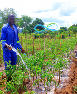 Alternative view of Maji Milele Solar Water Pump — KES 42,000 | Kenya, Uganda, Rwanda, Nigeria | Buy or Finance