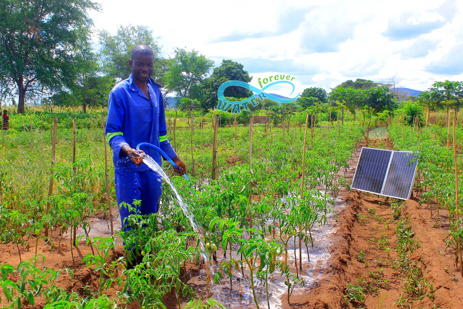 Maji Milele Solar Water Pump — KES 42,000 | Kenya, Uganda, Rwanda, Nigeria | Buy or Finance - Image 2