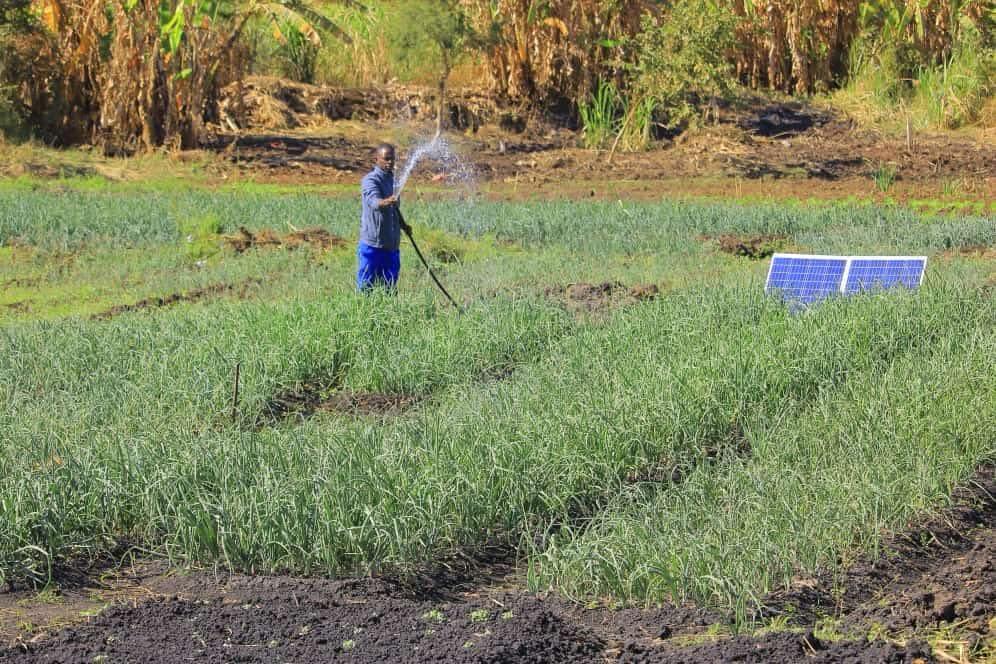 Solar Water Pump — KES 42,000 | Kenya, Uganda, Rwanda, Nigeria | Buy or Finance - Image 4