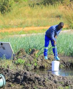 Alternative view of Solar Water Pump — KES 42,000 | Kenya, Uganda, Rwanda, Nigeria | Buy or Finance