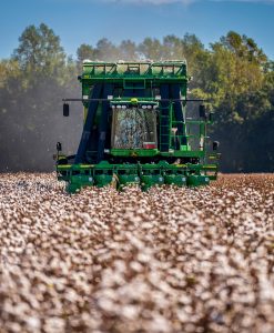 African Commodities Market Intelligence Report — Tea/East African Cotton Analysis Q3 2026