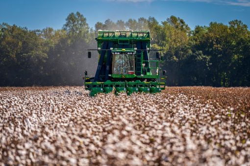 African Commodities Market Intelligence Report — Tea/East African Cotton Analysis Q3 2026