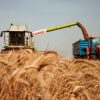 African Commodities Market Intelligence Report — Coffee/Wheat Analysis Q2 2026