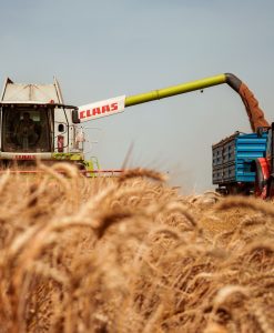 African Commodities Market Intelligence Report — Coffee/Wheat Analysis Q2 2026