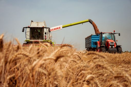 African Commodities Market Intelligence Report — Coffee/Wheat Analysis Q2 2026