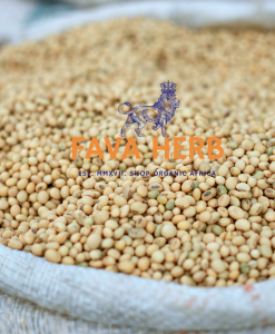 Alternative view of Bulk Contract-Grown Soybeans | Farm-Gate Supply for Refineries, Feed Mills & Food Manufacturers — East Africa