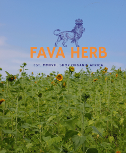Alternative view of Bulk Contract-Grown Sunflower Seed | Farm-Gate Supply for Refineries, Feed & Food Industries — East Africa