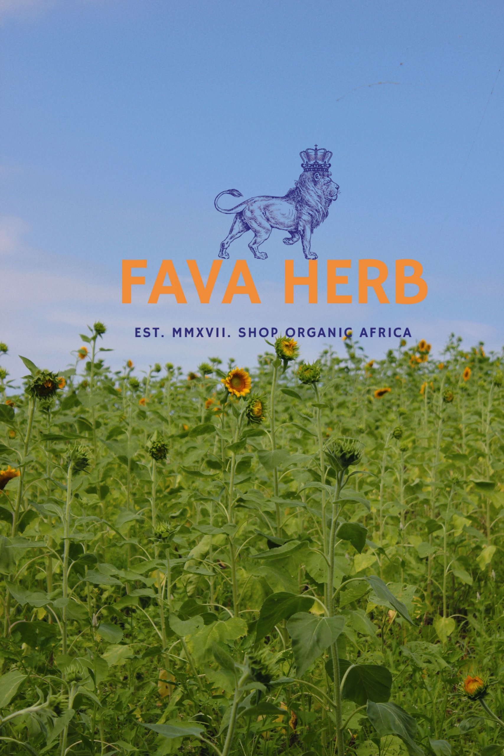 Bulk Contract-Grown Sunflower Seed | Farm-Gate Supply for Refineries, Feed & Food Industries — East Africa - Image 2