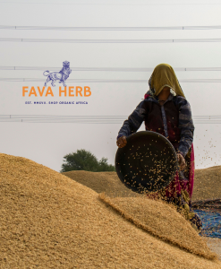 Alternative view of Bulk Contract-Grown Wheat | Farm-Gate Supply for Millers, Feed & Food Industries — East Africa