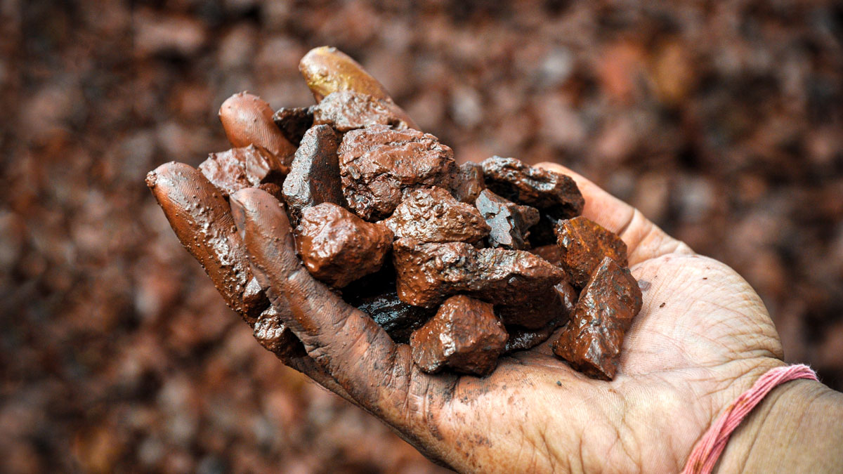 Fava Herb Metals & Mining Intelligence Report: Iron Ore