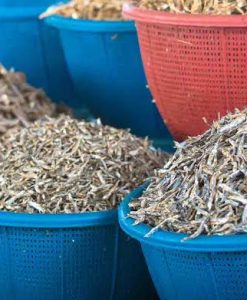 The Fava Herb Fish & Aquaculture Report — East Africa's Fisheries Trade, Decoded: Omena and Small Pelagics