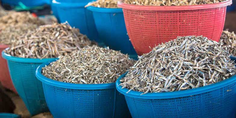 The Fava Herb Fish & Aquaculture Report — East Africa's Fisheries Trade, Decoded: Omena and Small Pelagics