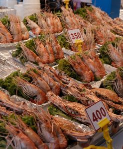 The Fava Herb Fish & Aquaculture Report — East Africa's Fisheries Trade, Decoded: Seaweed, Shrimp, Prawns